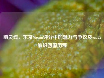 幽灵线，东京Steam评分中的魅力与争议及ca722航班回国历程