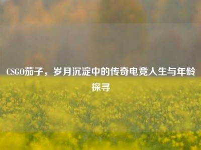 CSGO茄子，岁月沉淀中的传奇电竞人生与年龄探寻