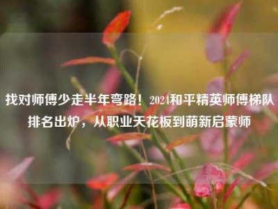 找对师傅少走半年弯路！2024和平精英师傅梯队排名出炉，从职业天花板到萌新启蒙师