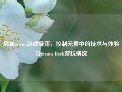 揭秘Steam游戏暴雨，控制元素中的技术与体验及Steam Deck游玩情况