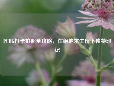 PUBG打卡拍照全攻略，在绝地求生留下独特印记