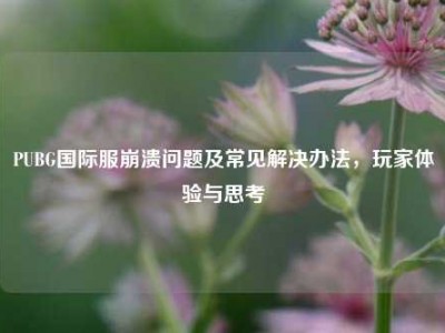 PUBG国际服崩溃问题及常见解决办法，玩家体验与思考