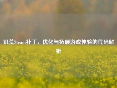 饥荒Steam补丁，优化与拓展游戏体验的代码解析