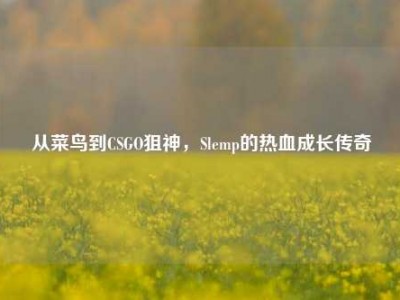 从菜鸟到CSGO狙神，Slemp的热血成长传奇