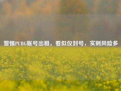 警惕PUBG账号出租，看似仅封号，实则风险多