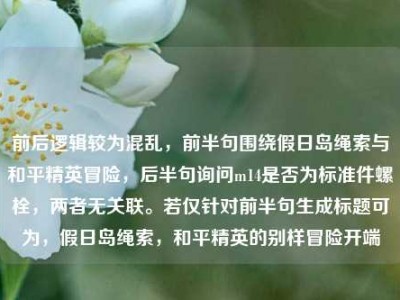 前后逻辑较为混乱，前半句围绕假日岛绳索与和平精英冒险，后半句询问m14是否为标准件螺栓，两者无关联。若仅针对前半句生成标题可为，假日岛绳索，和平精英的别样冒险开端