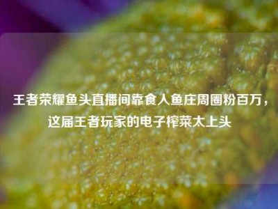王者荣耀鱼头直播间靠食人鱼庄周圈粉百万，这届王者玩家的电子榨菜太上头