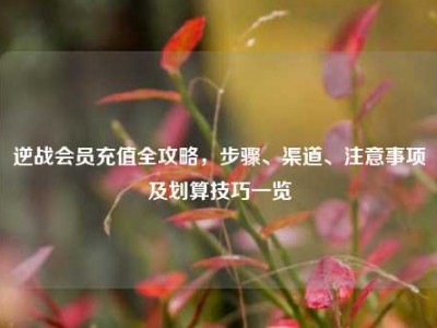 逆战会员充值全攻略，步骤、渠道、注意事项及划算技巧一览