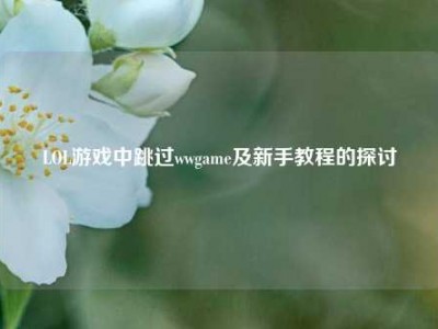 LOL游戏中跳过wwgame及新手教程的探讨