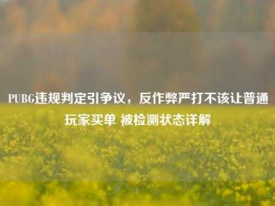 PUBG违规判定引争议，反作弊严打不该让普通玩家买单 被检测状态详解