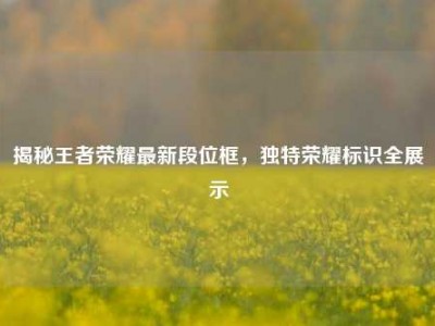 揭秘王者荣耀最新段位框，独特荣耀标识全展示