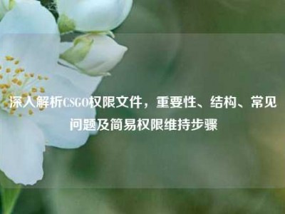 深入解析CSGO权限文件，重要性、结构、常见问题及简易权限维持步骤