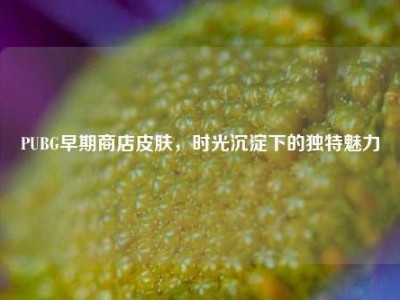 PUBG早期商店皮肤，时光沉淀下的独特魅力