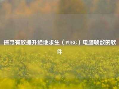 探寻有效提升绝地求生（PUBG）电脑帧数的软件
