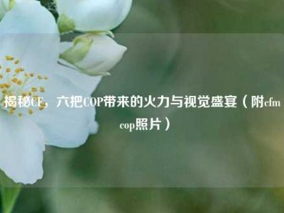 揭秘CF，六把COP带来的火力与视觉盛宴（附cfm cop照片）