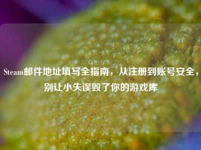 Steam邮件地址填写全指南，从注册到账号安全，别让小失误毁了你的游戏库