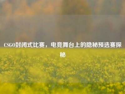CSGO封闭式比赛，电竞舞台上的隐秘预选赛探秘