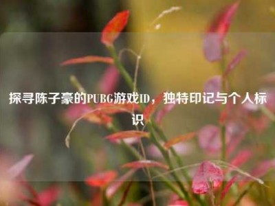 探寻陈子豪的PUBG游戏ID，独特印记与个人标识