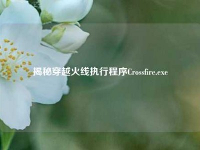 揭秘穿越火线执行程序Crossfire.exe