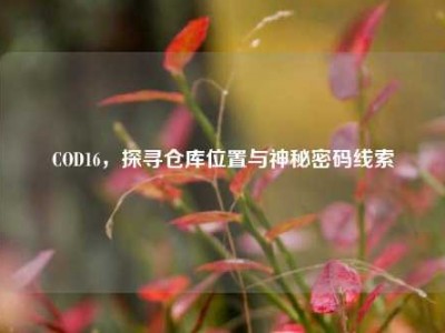 COD16，探寻仓库位置与神秘密码线索