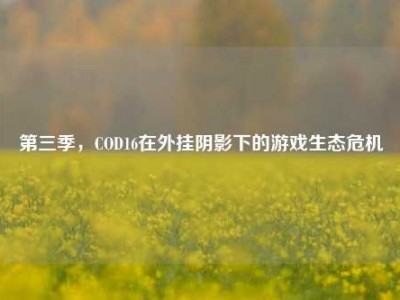 第三季，COD16在外挂阴影下的游戏生态危机