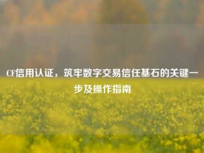 CF信用认证，筑牢数字交易信任基石的关键一步及操作指南