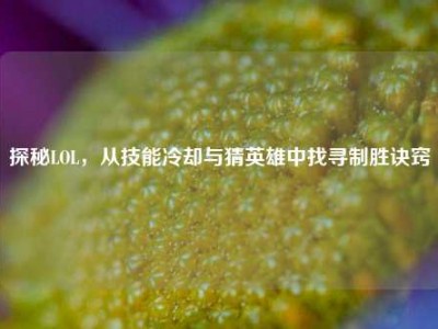 探秘LOL，从技能冷却与猜英雄中找寻制胜诀窍