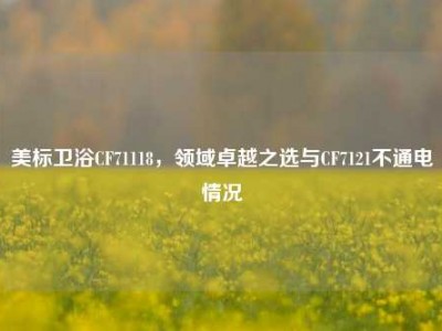 美标卫浴CF71118，领域卓越之选与CF7121不通电情况