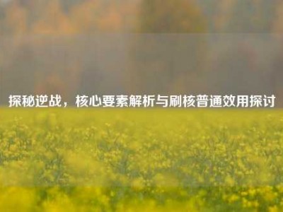 探秘逆战，核心要素解析与刷核普通效用探讨