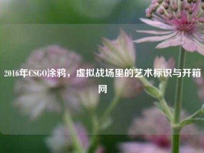 2016年CSGO涂鸦，虚拟战场里的艺术标识与开箱网