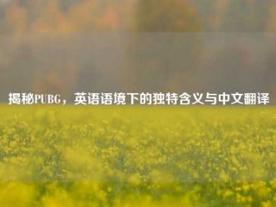 揭秘PUBG，英语语境下的独特含义与中文翻译