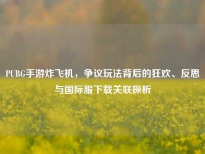 PUBG手游炸飞机，争议玩法背后的狂欢、反思与国际服下载关联探析