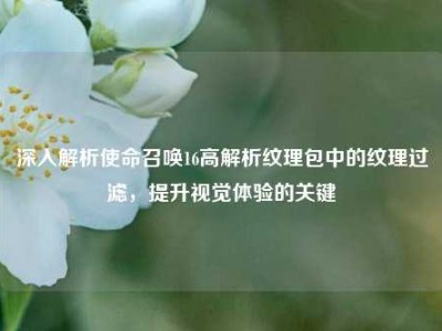 深入解析使命召唤16高解析纹理包中的纹理过滤，提升视觉体验的关键