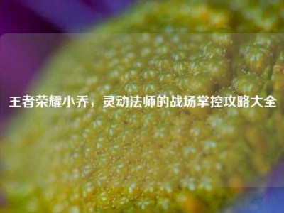 王者荣耀小乔，灵动法师的战场掌控攻略大全
