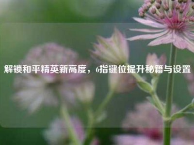 解锁和平精英新高度，6指键位提升秘籍与设置