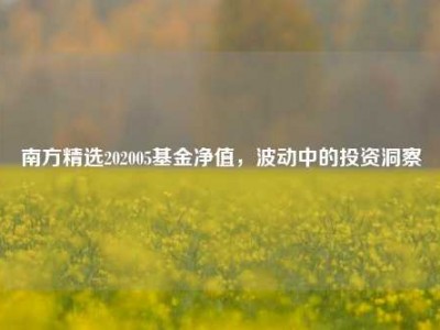 南方精选202005基金净值，波动中的投资洞察