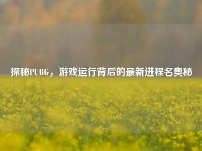探秘PUBG，游戏运行背后的最新进程名奥秘