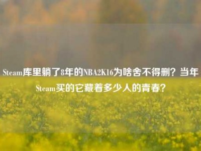 Steam库里躺了8年的NBA2K16为啥舍不得删？当年Steam买的它藏着多少人的青春？