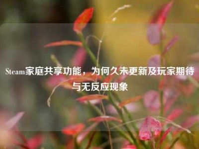 Steam家庭共享功能，为何久未更新及玩家期待与无反应现象