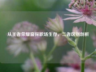 从王者荣耀窥探职场生存，二者区别剖析