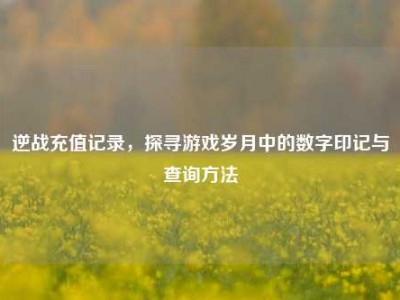 逆战充值记录，探寻游戏岁月中的数字印记与查询方法