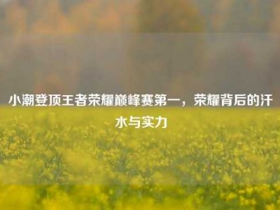 小潮登顶王者荣耀巅峰赛第一，荣耀背后的汗水与实力