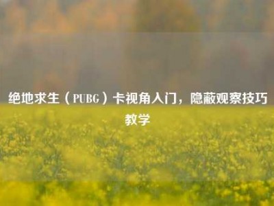 绝地求生（PUBG）卡视角入门，隐蔽观察技巧教学