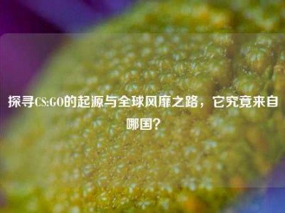 探寻CS:GO的起源与全球风靡之路，它究竟来自哪国？