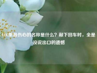 LOL里最伤心的名称是什么？敲下回车时，全是没说出口的遗憾