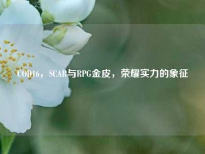 COD16，SCAR与RPG金皮，荣耀实力的象征