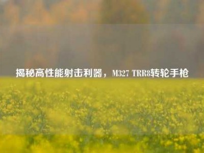 揭秘高性能射击利器，M327 TRR8转轮手枪