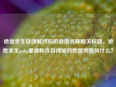 绝地求生自闭城对应的地图名称相关标题，绝地求生pubg里被称作自闭城的地图究竟叫什么？