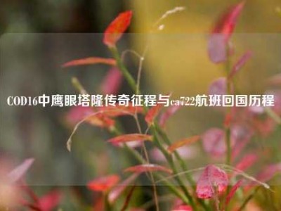 COD16中鹰眼塔隆传奇征程与ca722航班回国历程