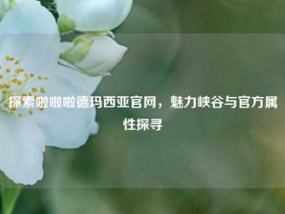 探索啦啦啦德玛西亚官网，魅力峡谷与官方属性探寻